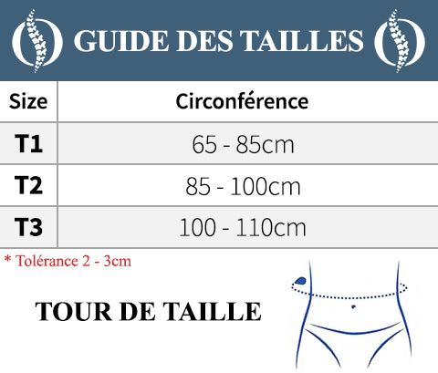 Guide des tailles Ceinture dorsale Baleiné