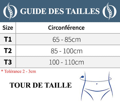 Guide des tailles Ceinture dorsale Baleiné